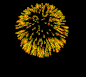 fw15.gif (11507 bytes)