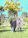 spring