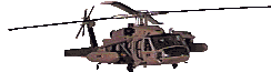 blkhwk1-anim.gif (8301 bytes)
