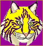 Bobcatlogo.bmp (64254 bytes)