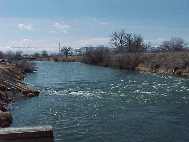 THR11.jpg (64236 bytes)