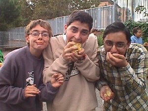 chips.jpg (24808 byte)